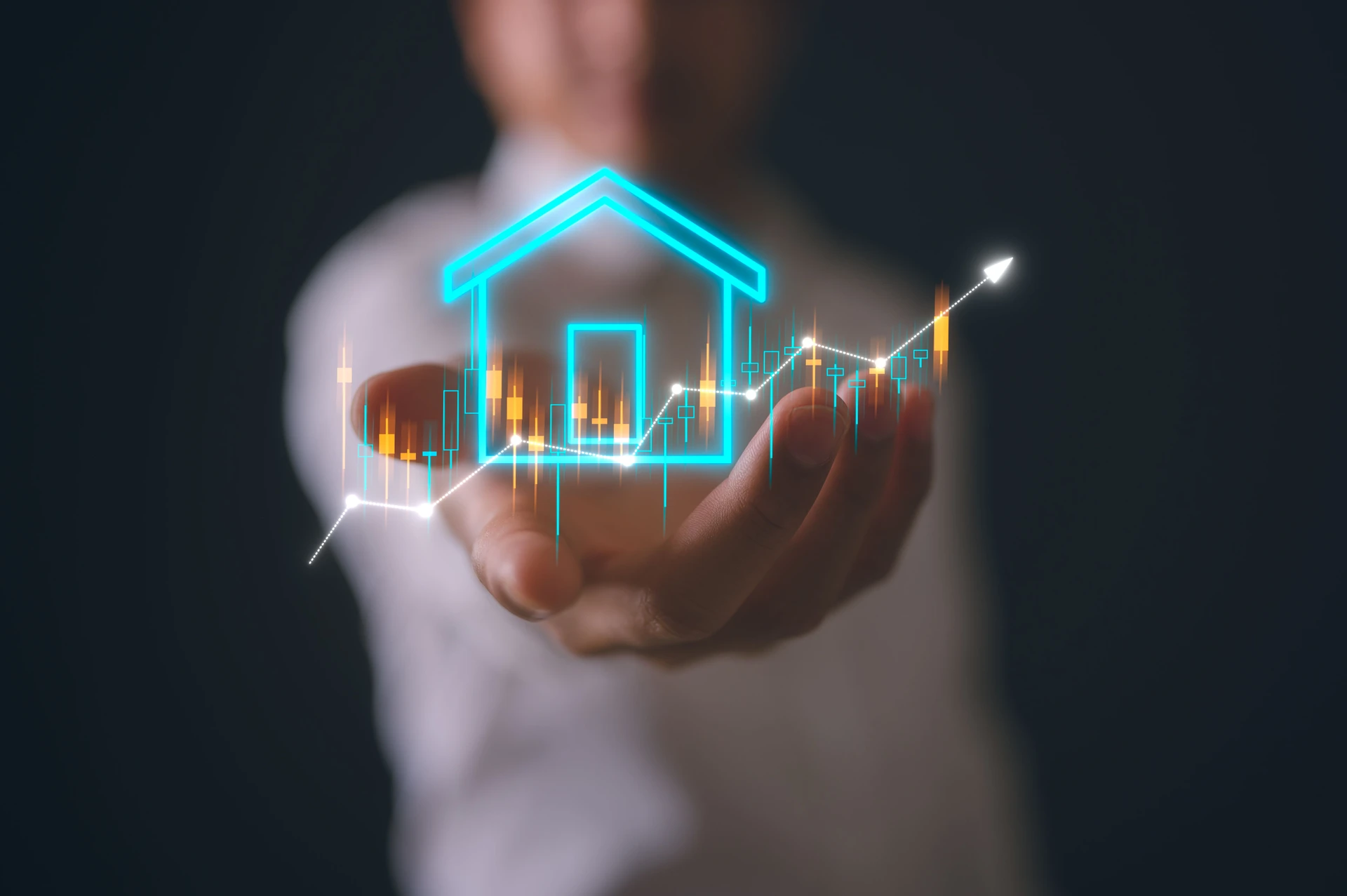 Projeto 2 - imagem do portfólio